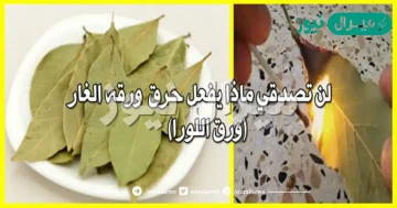 سوف ترى المعجزة.. قومي بحرق ورقة الغار داخل منزلك كل يوم وشاهدي ما الذي يحدث!