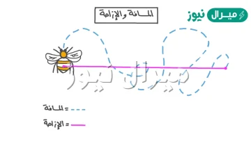 وضح الفرق بين الموقع والمسافة والازاحة