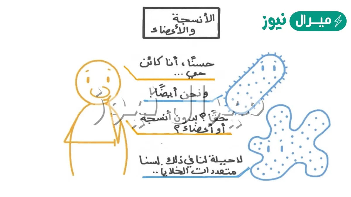 أي مما يلي يوجد في خلايا جسمك