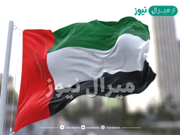 إلى ماذا ترمز الوان علم الامارات