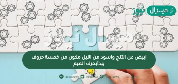 ابيض من الثلج واسود من الليل مكون من خمسة حروف يبدأبحرف الميم