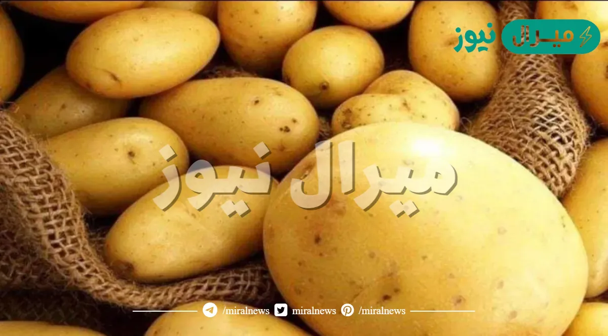 احذروا وفاة أسرة كاملة بسبب طهي البطاطس بالطريقة الخاطئة التي تفعلها كل الامهات