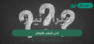 ادنى شعب الايمان