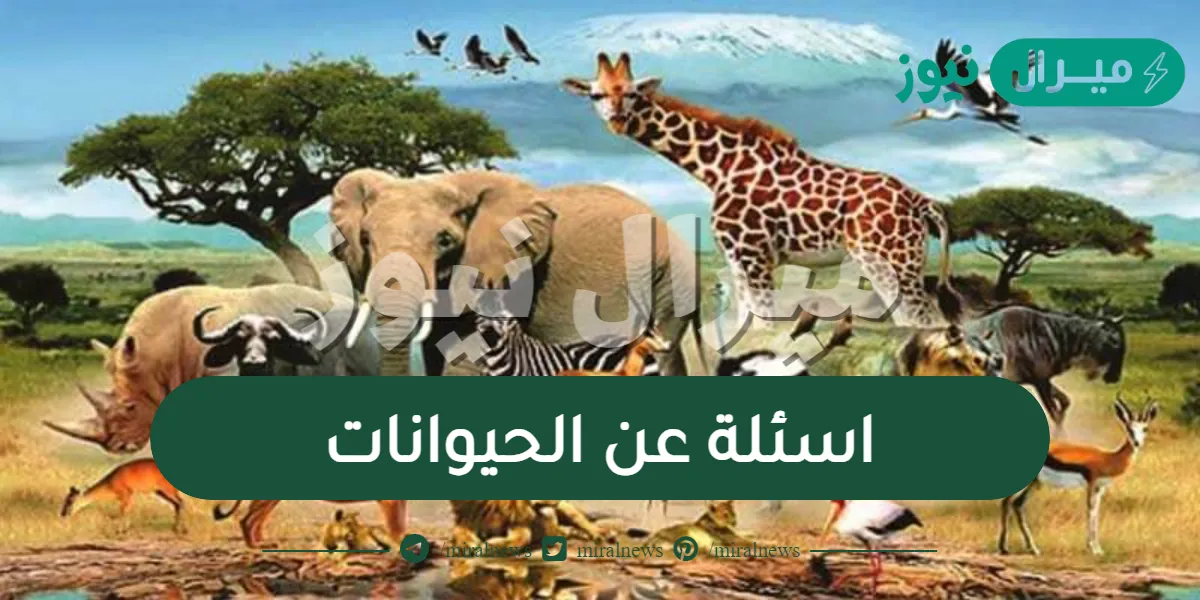 اسئلة عن الحيوانات