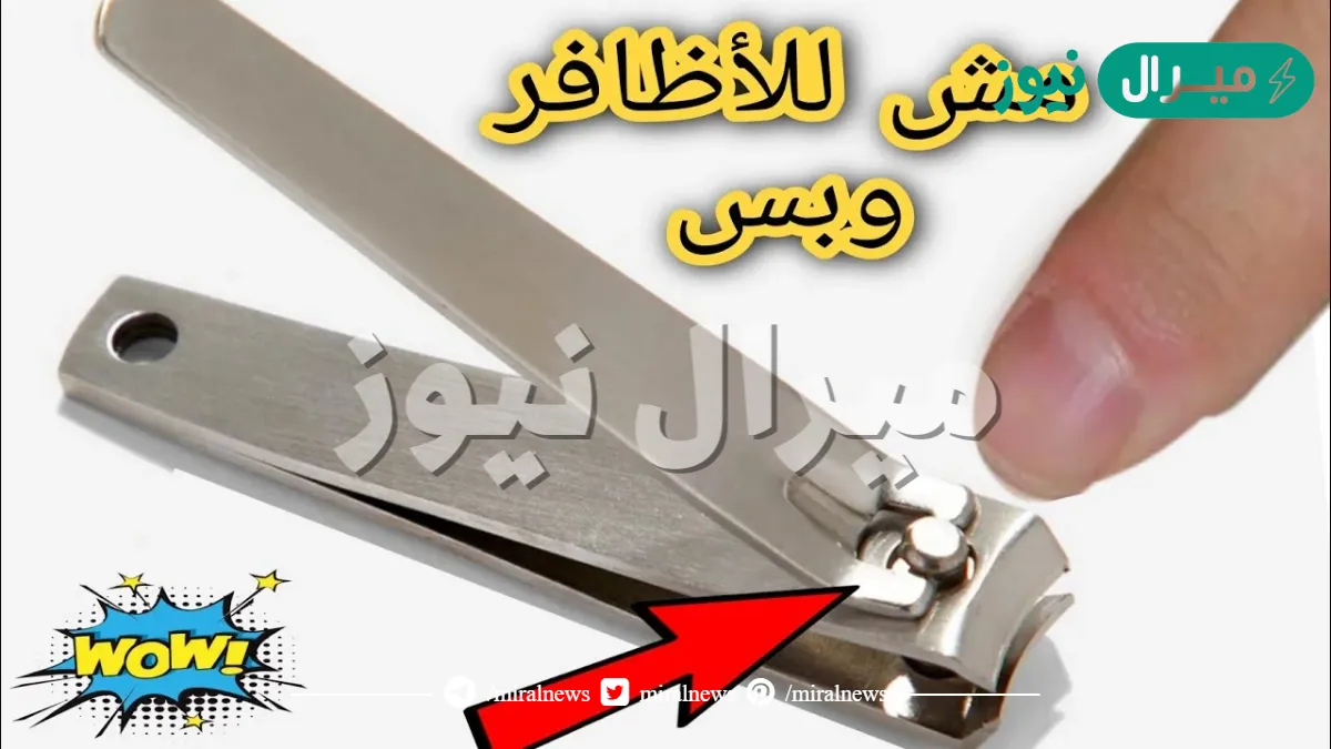 إزاي معرفناش كل ده!.. مطلعتش للأظافر فقط استخدامات جهنمية لقصافة الأظافر مش هتخطر علي بالك