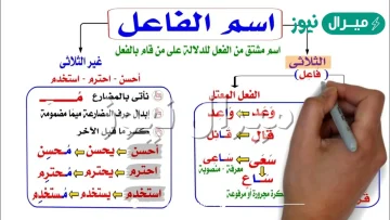 اسم الفاعل من الفعل الثلاثي يأتي على وزن