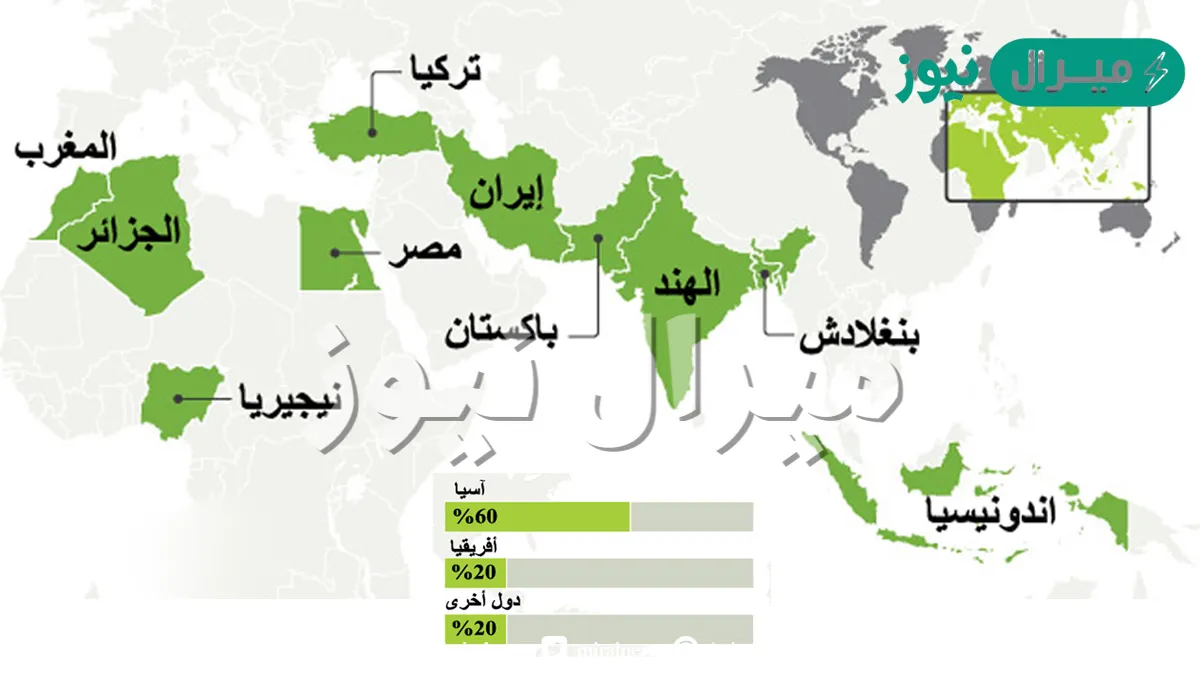 اكبر دولة اسلامية من حيث عدد السكان؟