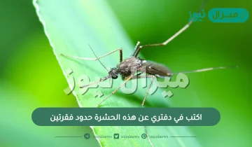 اكتب في دفتري عن هذه الحشرة حدود فقرتين