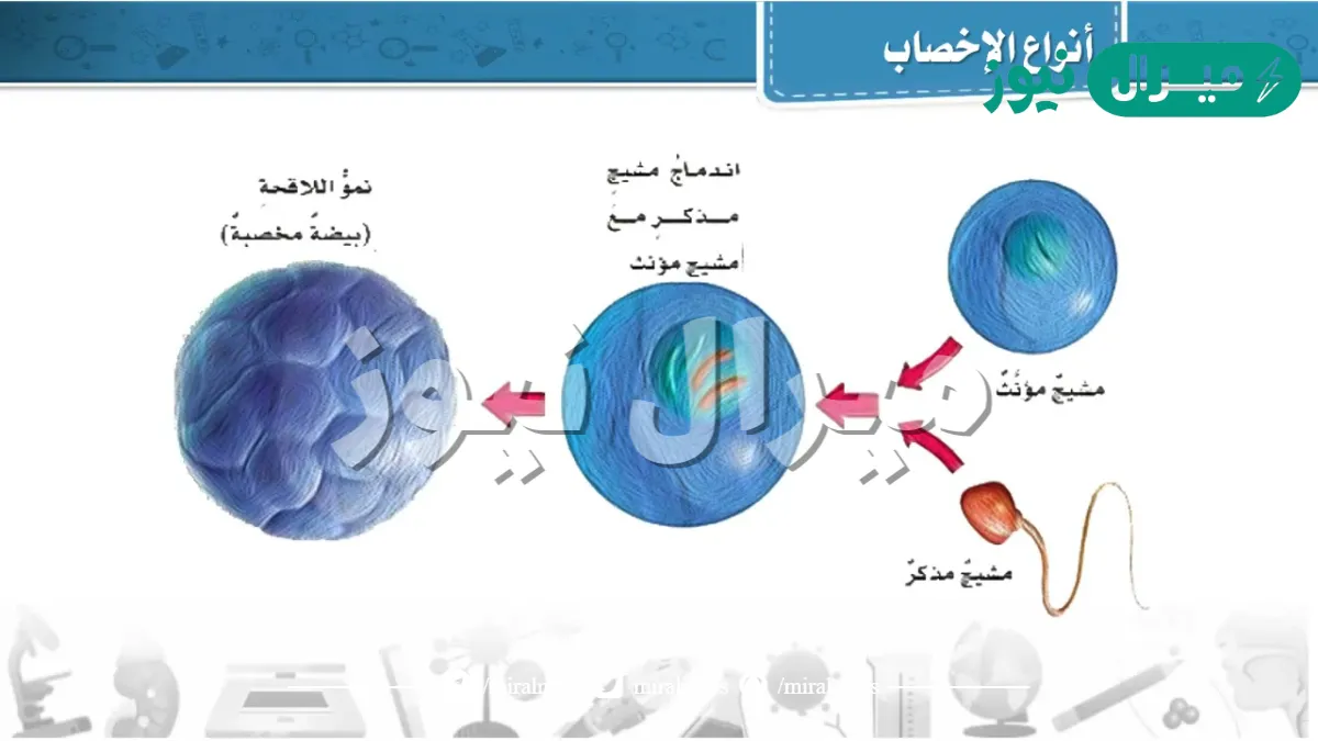 الاخصاب الداخلي يختلف عن الاخصاب الخارجي في انه
