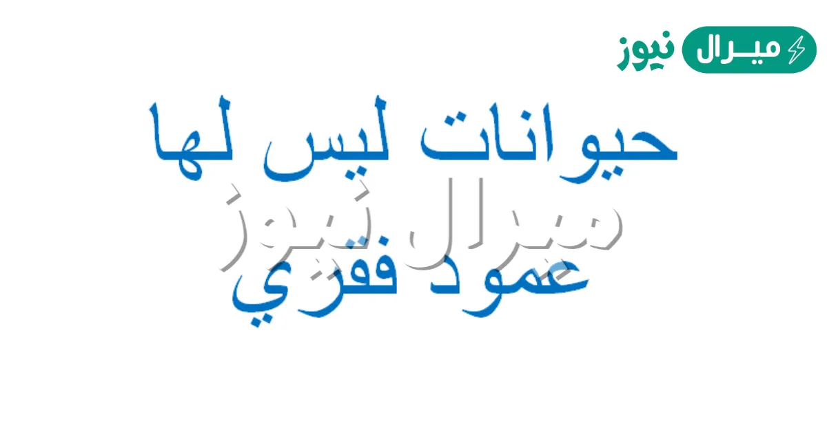 الحيوانات التي لها عمود فقري تسمى