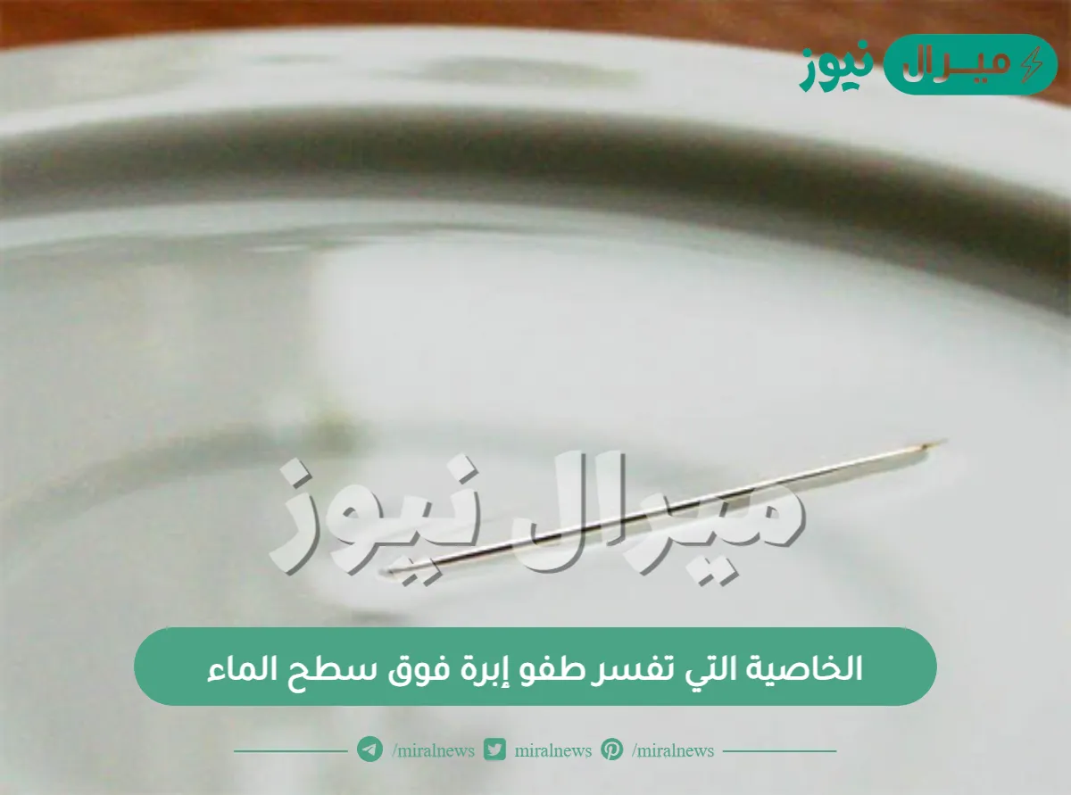 الخاصية التي تفسر طفو إبرة فوق سطح الماء