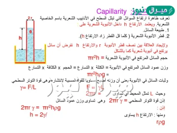 الخاصية الشعرية تنتج من قوى