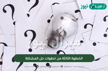 الخطوة الثالثة من خطوات حل المشكلة