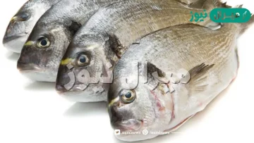 السمك غني جدا باليود أم الملح