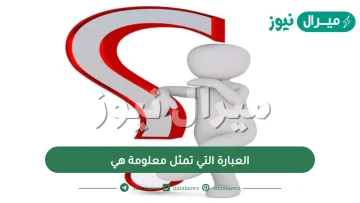 العبارة التي تمثل معلومة هي؟