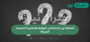 العلاقة بين الحشائش البوقية والبكتيريا الخضراء المزرقة