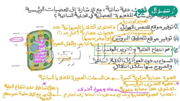 الفجوة العصارية في الخلية النباتية