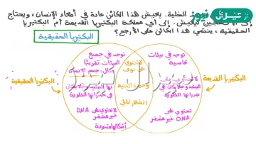 الفرق بين البدائيات والبكتيريا