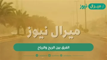 الفرق بين الريح والرياح