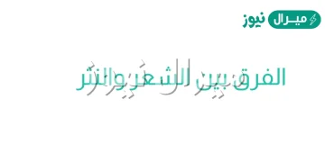 الفرق بين الشعر والنثر