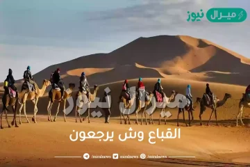 القباع وش يرجعون