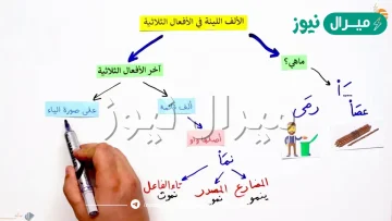 الكلمة التي تدل على نكره تكتب الألف اللينة في آخر الأفعال الثلاثية على شكل ألف قائمة إذا كان أصلها