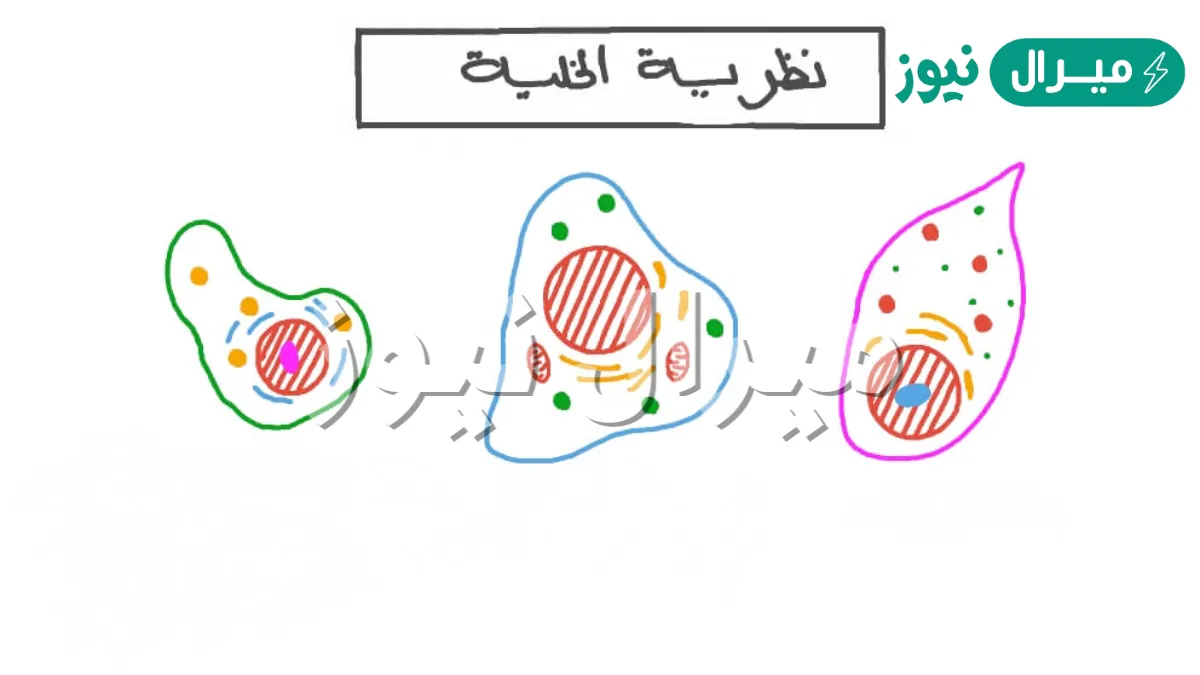المركب الذي يمثل اكبر نسبه من الخليه هو