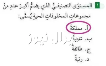 المستوى التصنيفي الذي يضم اكبر عدد من مجموعات المخلوقات الحيه يسمى