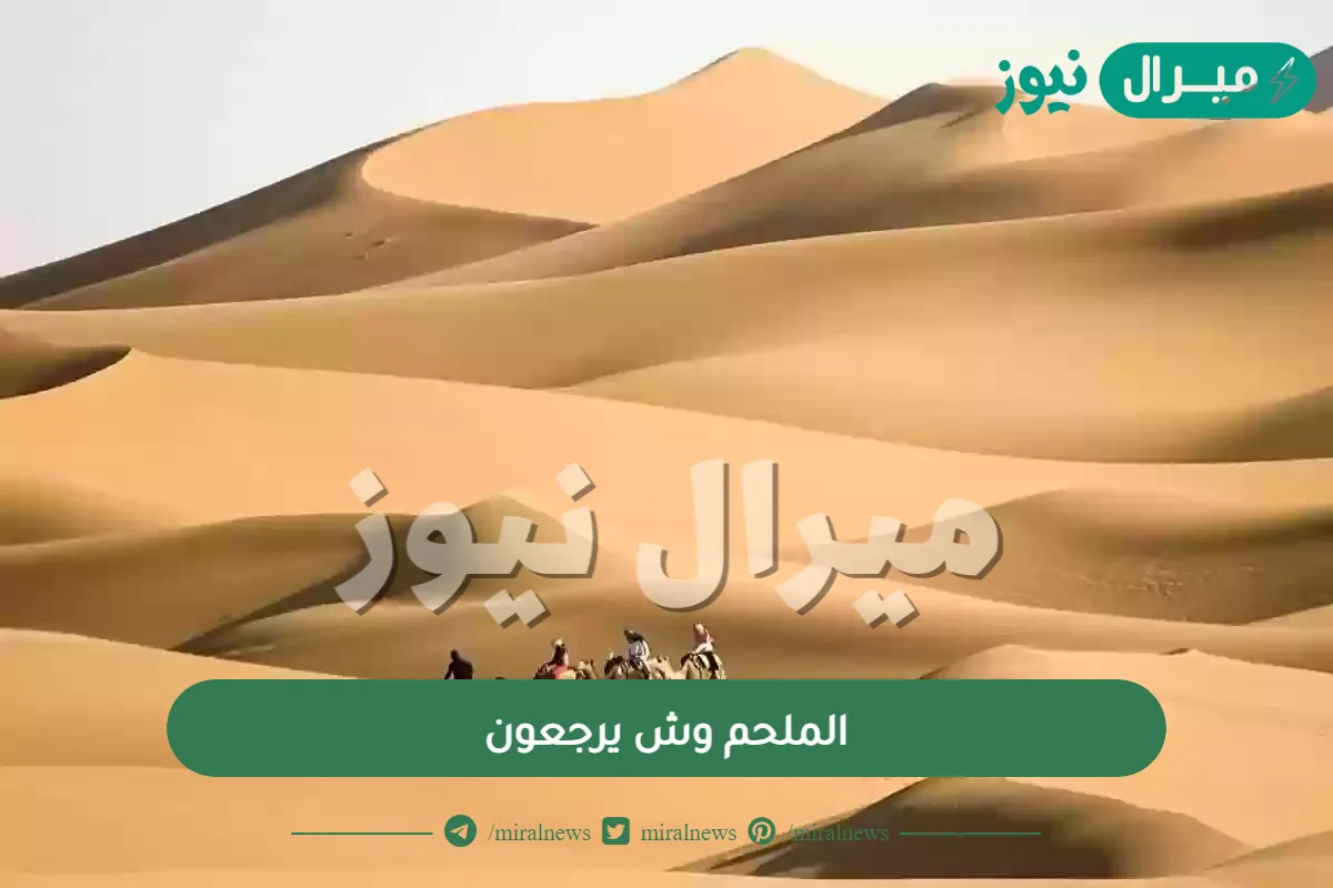 الملحم وش يرجعون