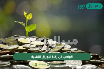 الواجب في زكاة الاوراق النقدية