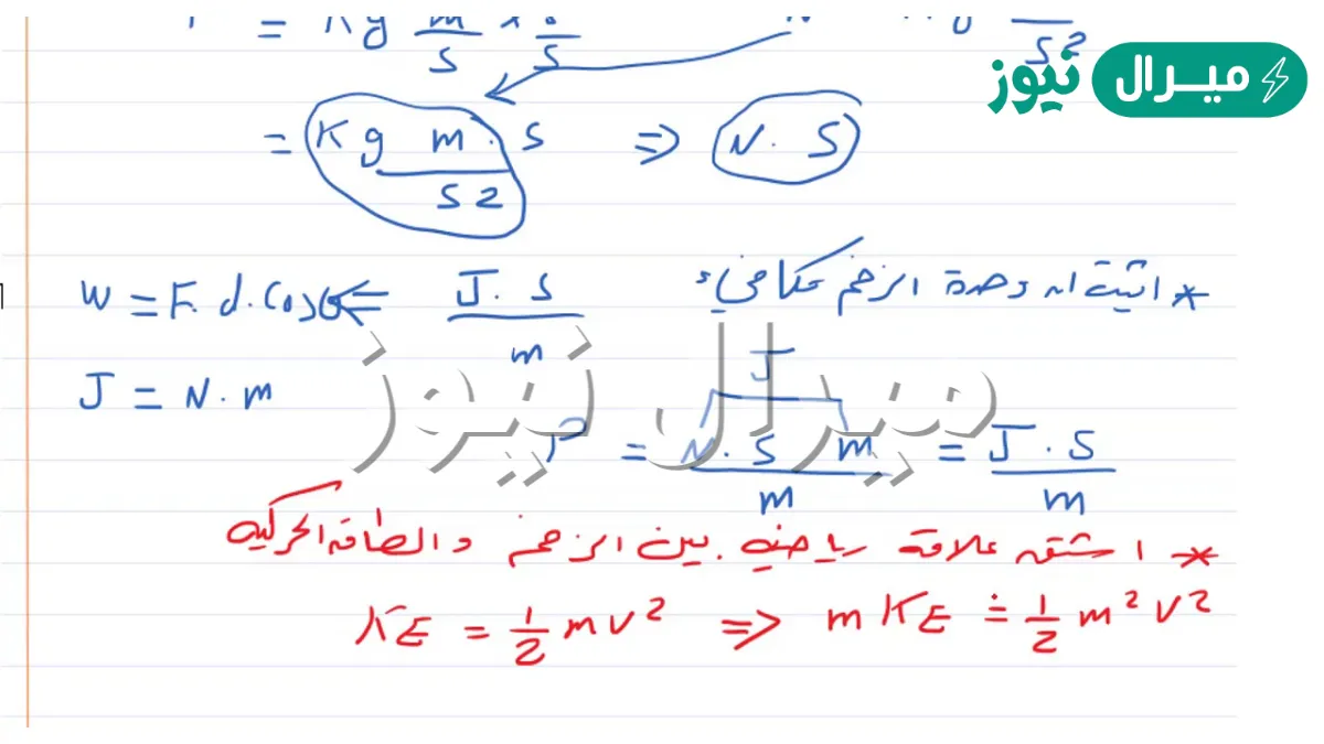الوحدة الدولية لقياس الزخم