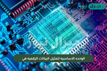 الوحده الاساسيه لتمثيل البيانات الرقميه هي