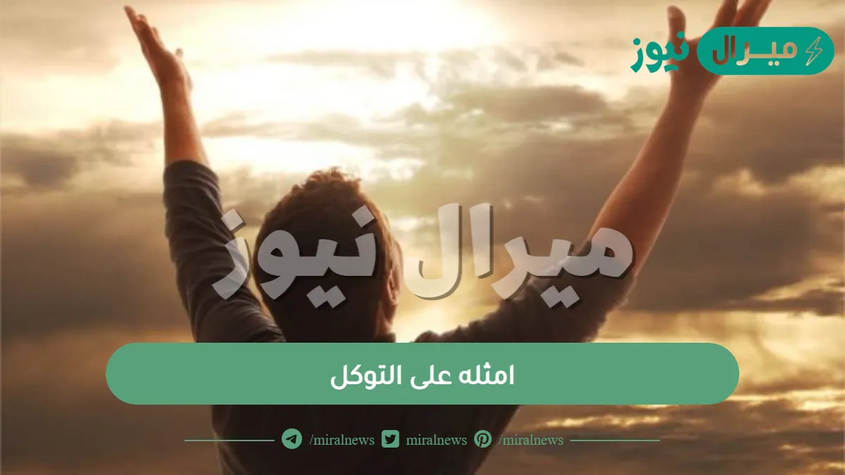 امثله على التوكل