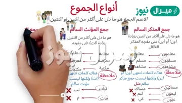 انواع الجموع في اللغة العربية