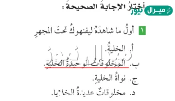 اول ماشاهده ليفنهوك تحت المجهر