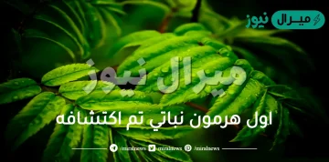 اول هرمون نباتي تم اكتشافه