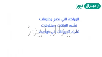 اي الممالك التاليه تضم مخلوقات تشبه النباتات ومخلوقات تشبه الحيوانات في خواصها