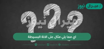 اي مما يلي مثال على الالة البسيطة