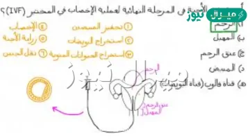 اين تحدث عملية الاخصاب