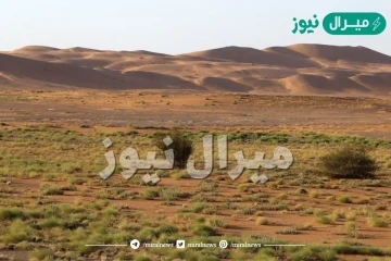 اين تعيش النباتات التي لها اشواك واوراق تخزن الماء