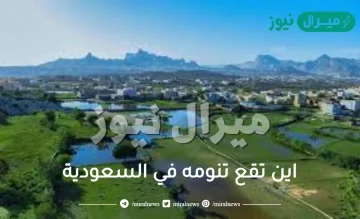 اين تقع تنومه في السعودية