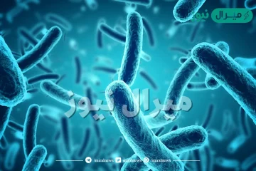 اين يحتمل ان تصنف البدائيات النوى التي تعيش في مجاري