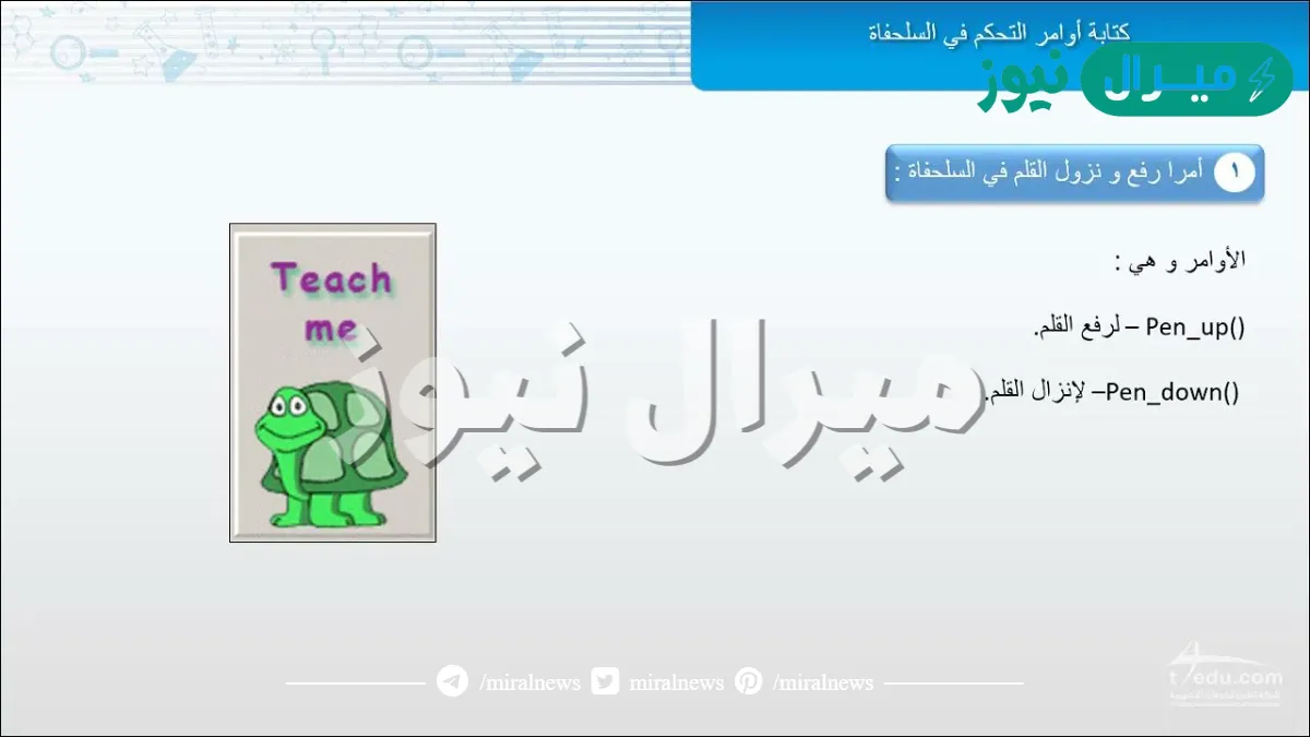 باستخدام الاوامر ادناه ماذا تتوقع ان ترسم السلحفاة