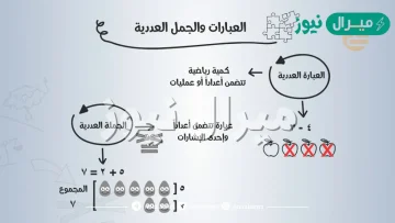 تتكون العباره العدديه من