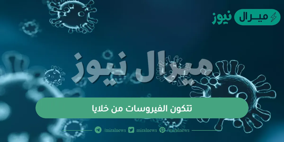 تتكون الفيروسات من خلايا