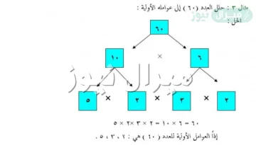 تحليل العدد 60 الى عوامله الاوليه