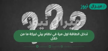 تدخل الطاقة اول مرة في نظام بيئي لبركة ما من خلال