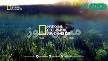 تردد قناة ناشيونال جيوغرافيك ابو ظبي Nat geo Abu Dhabi على النايل سات وعربسات