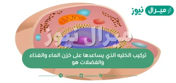 تركيب الخليه الذي يساعدها على خزن الماء والغذاء والفضلات هو