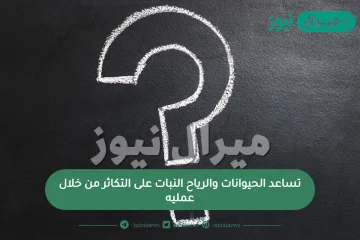 تساعد الحيوانات والرياح النبات على التكاثر من خلال عمليه